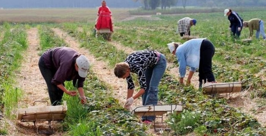 Работа в Польше: где работают и сколько зарабатывают украинские женщины